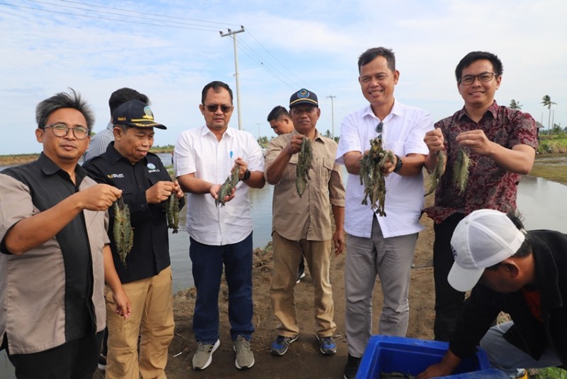 Kunjungan BMKG Maritim Makassar, Kepala BBPBAP Jepara dan BPBAP Takalar di PT Alter Trade Indonesia Pinrang, Sulawesi Selatan