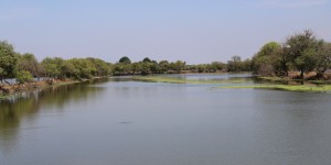 Expansion of Demonstration Pond